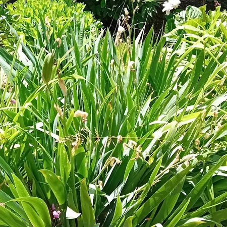 Camp, Tent Jurta For 4 Guests, Ljubljana, Shared Bathroom And Outdoor Kitchen Luxe tent