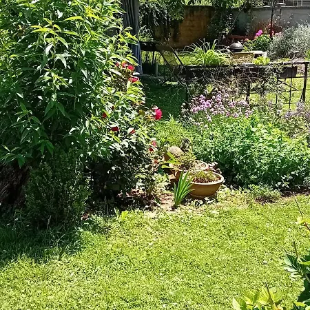 Luxe tent Camp, Tent Jurta For 4 Guests, Ljubljana, Shared Bathroom And Outdoor Kitchen *